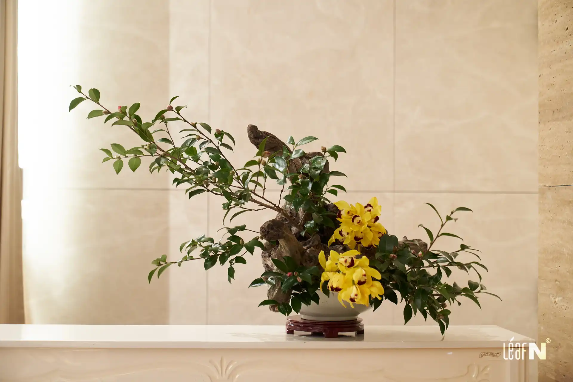 2025화공회장협회_1월정기총회_089_WebP