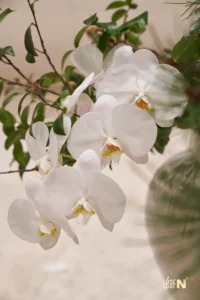 2025화공회장협회_1월정기총회_093_WebP