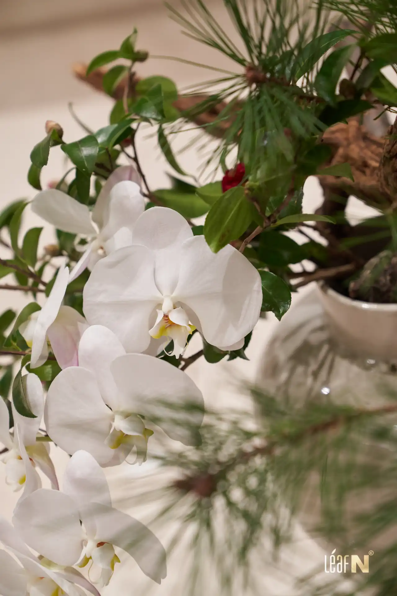 2025화공회장협회_1월정기총회_094_WebP