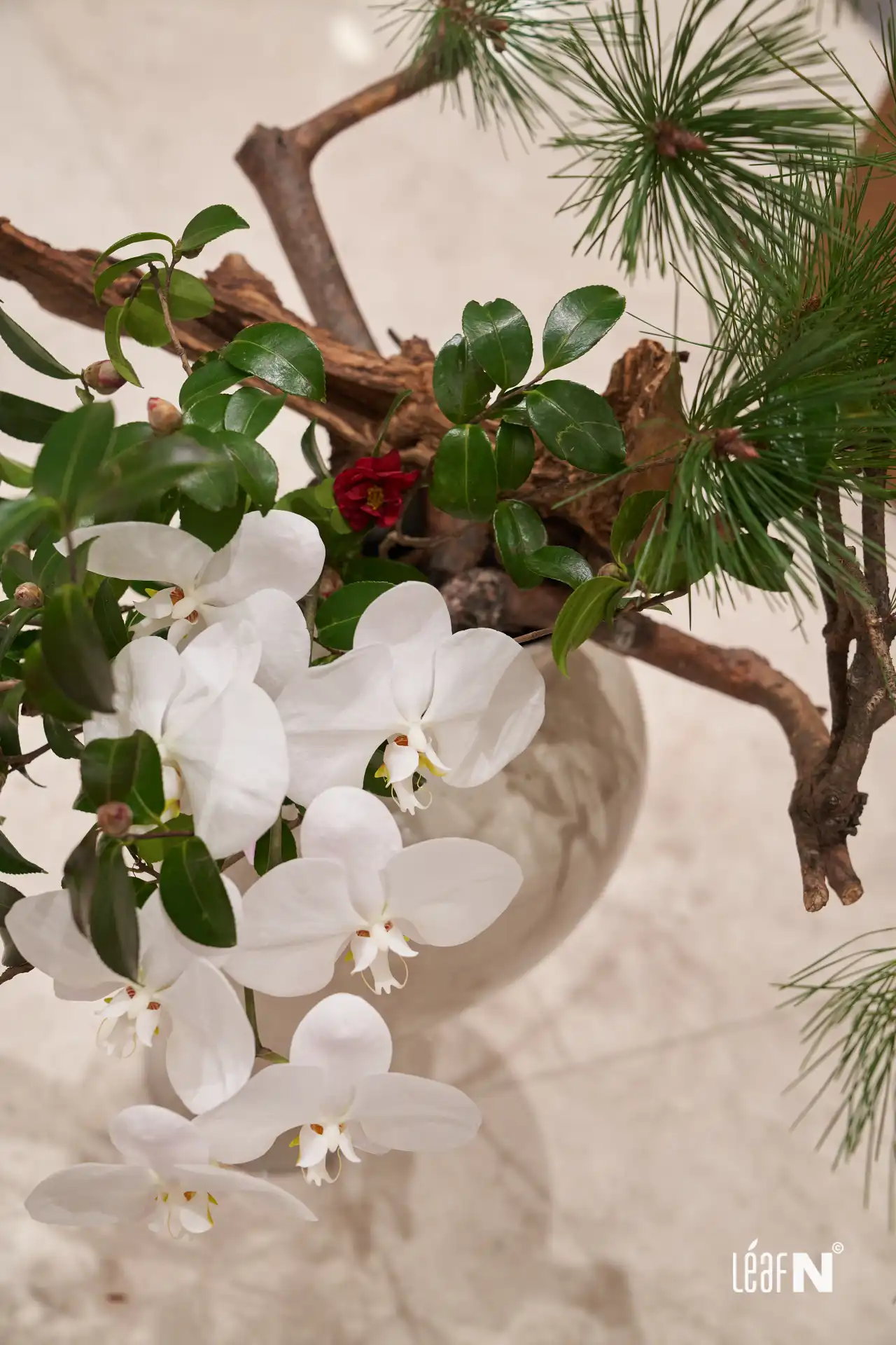 2025화공회장협회_1월정기총회_095_WebP